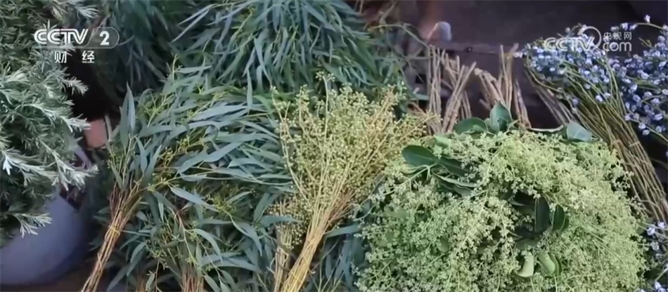 创意花束、香囊、洗浴包……艾草走俏端午节消费“产业范儿”涌动热潮