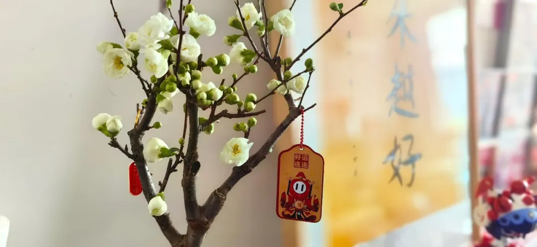 图片22.png